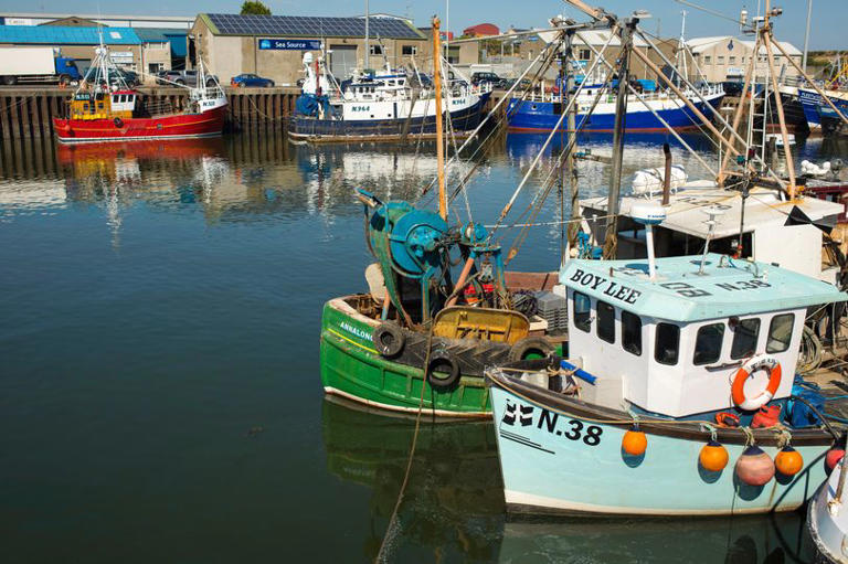 Close-up of vibrant fishing boats docked in Kilkeel Harbour, with nets and equipment visible, showcasing the town's active fishing industry.