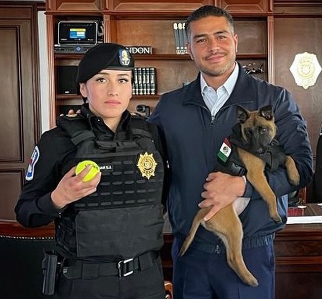 Los amores conocidos (y presumidos) de Omar García Harfuch