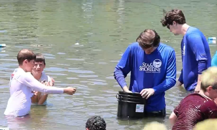 The Unlikely Star of Florida's Waterways: Snooty The Manatee's Story of Survival and Conservation