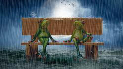 Prakiraan Cuaca BMKG Purbalingga Hari Ini: Hujan Ringan Menghiasi Wilayah