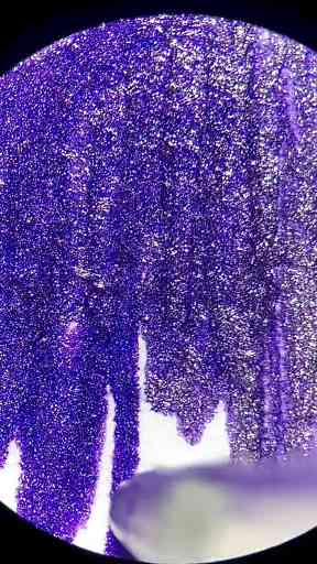 Exploring Intriguing Secrets: Pen Ink Under the Microscope