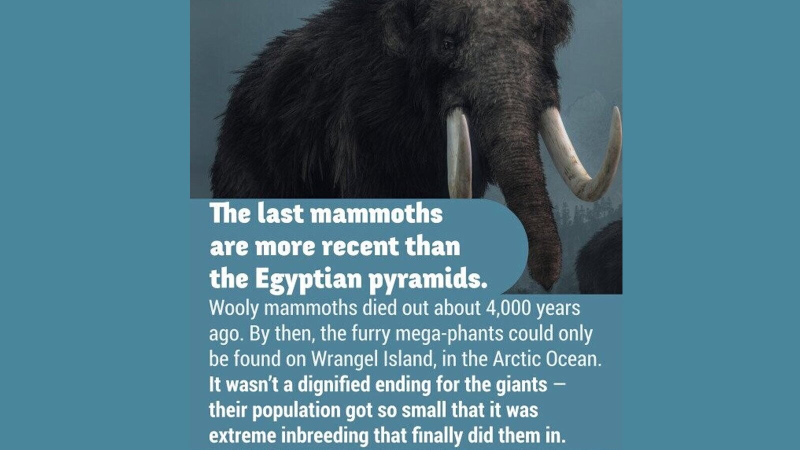 13 Random Facts to Lay On Whoever Will Listen