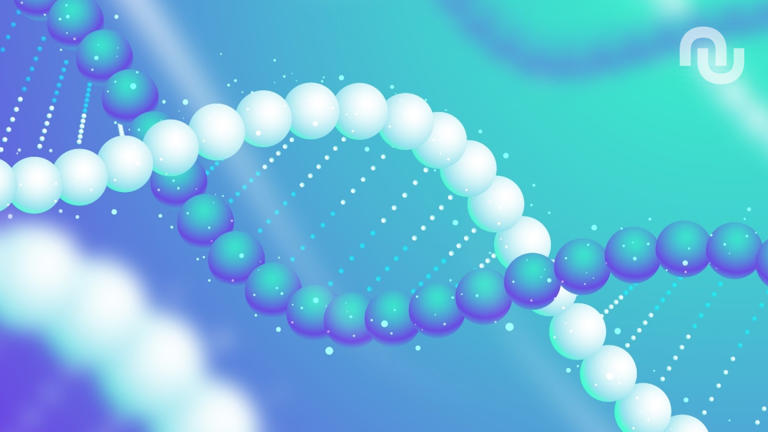 Que sont les gènes ?