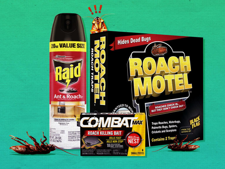 The 5 best roach killers of 2026, according to pest control experts