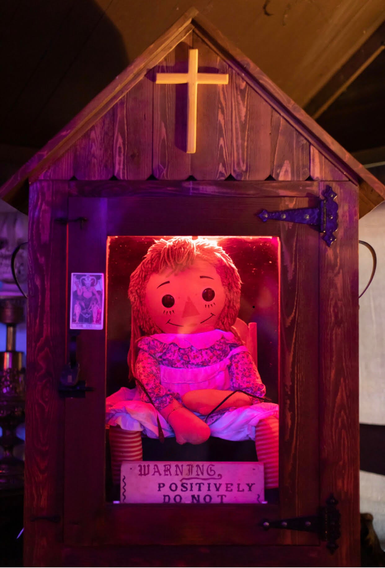 Annabelle is kept in a specially built case at Warrens' Occult Museum (New England Society for Psychic Research)