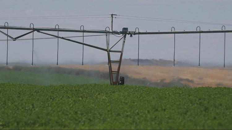 Bill that would require Oregon farmers to report fertilizer usage dies in Senate committee