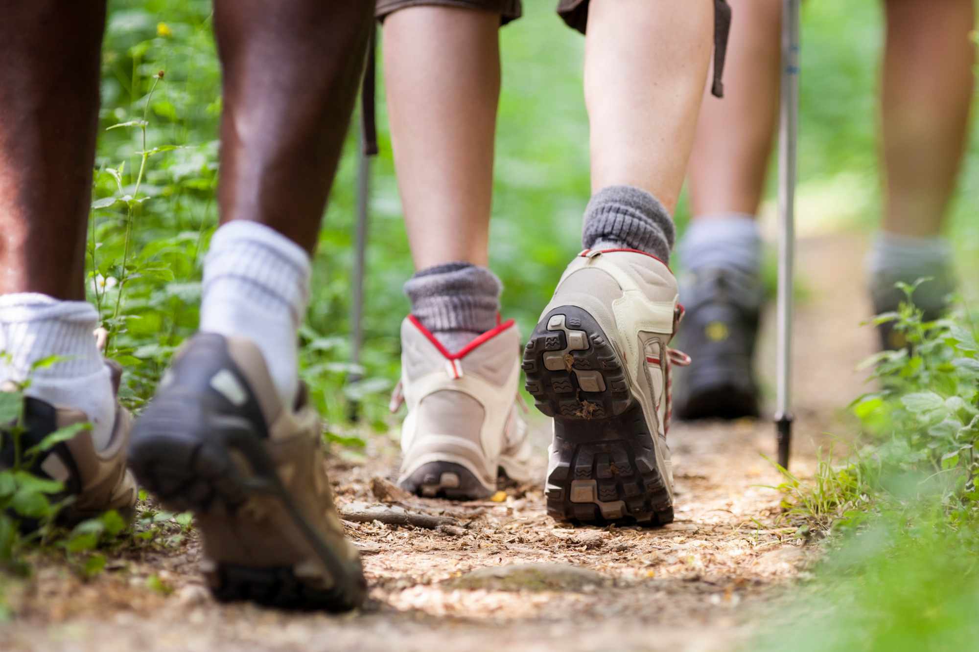 Lost Hikers Call Police to Report Friend's Death — Only for Police to