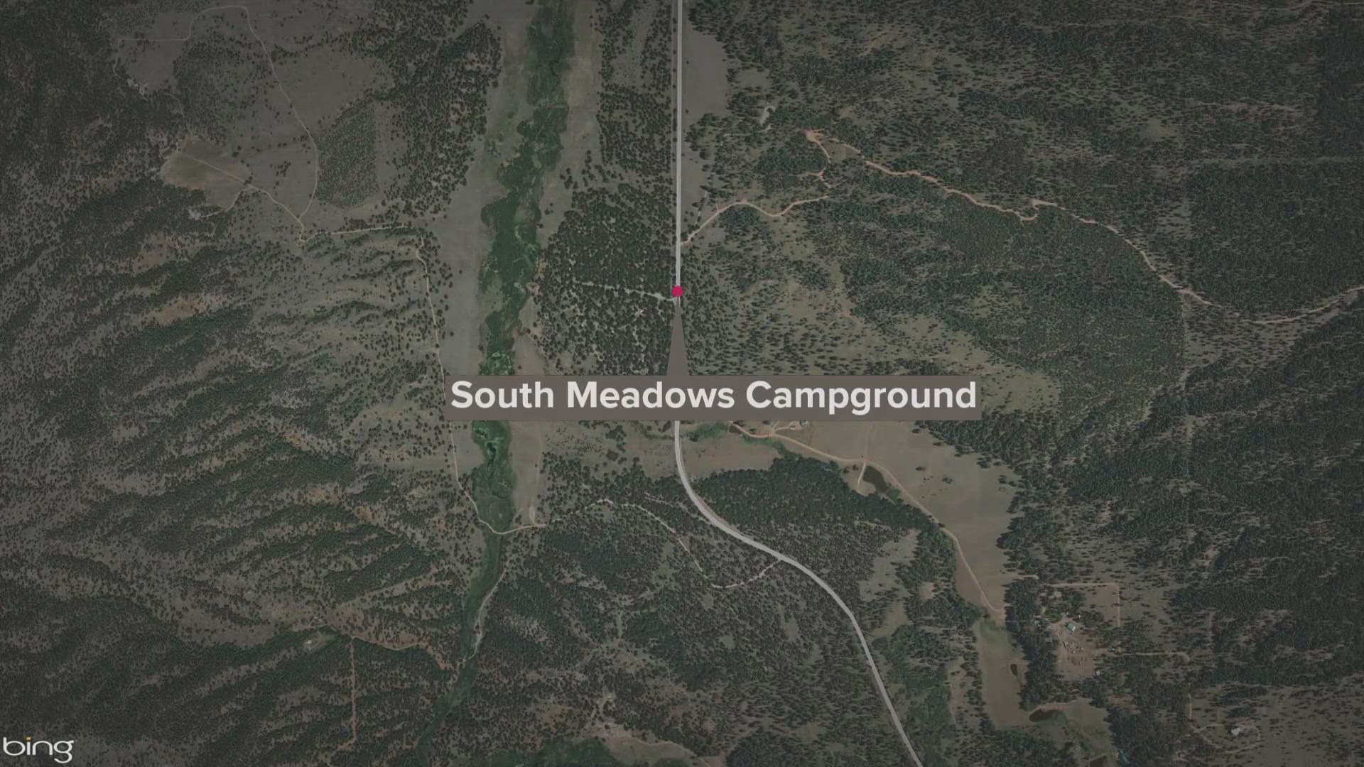 Moose attacks man, kills dog in Woodland Park