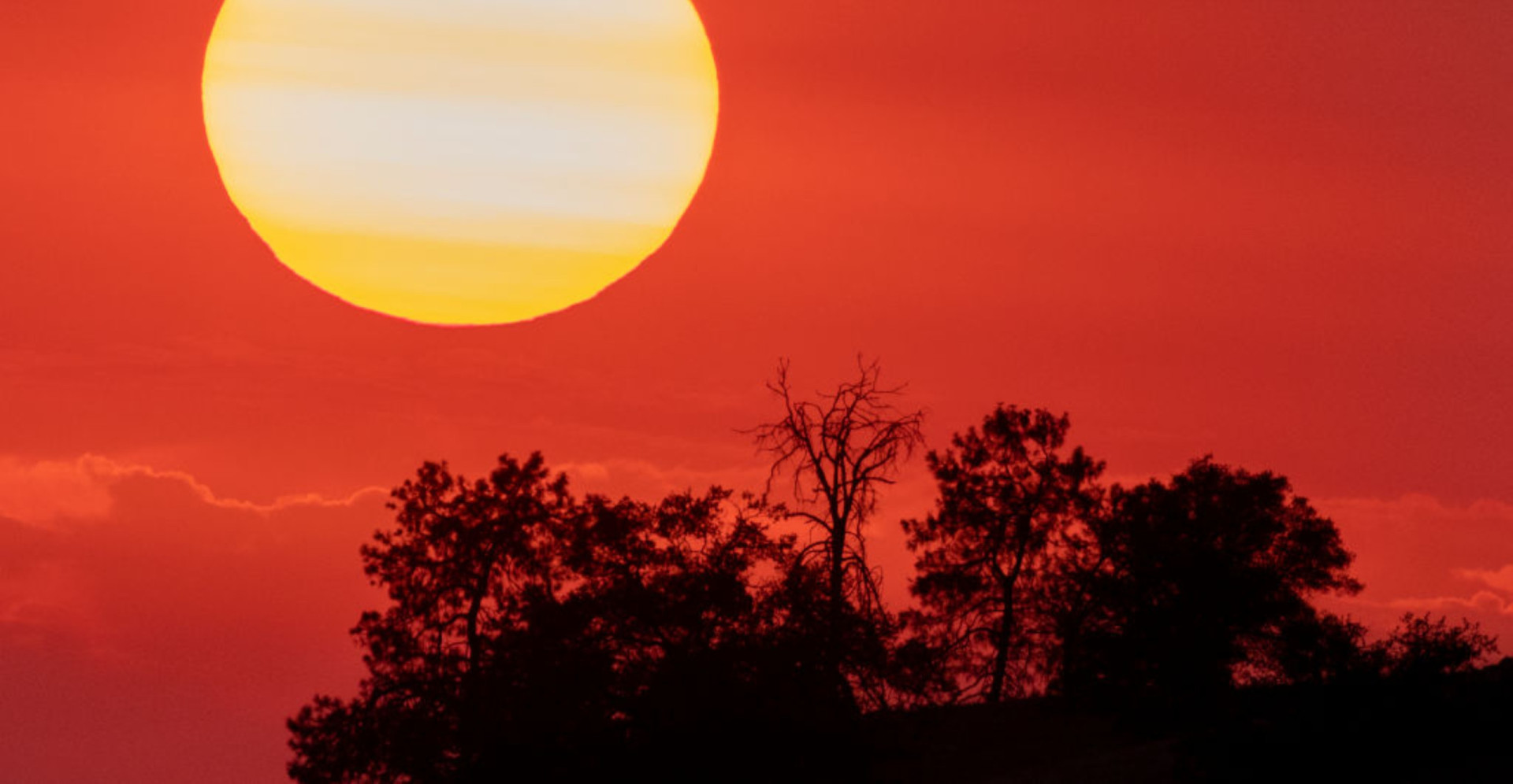 Temperatures will only get hotter, forecast reveals