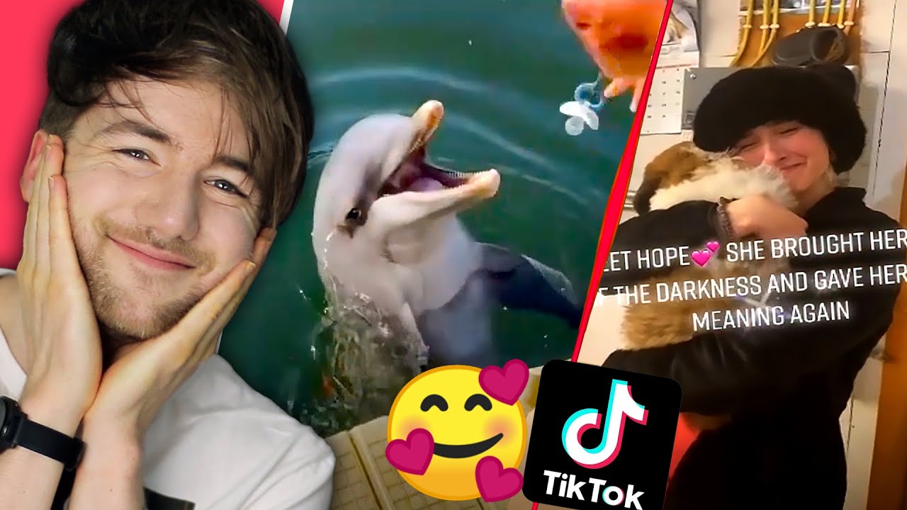 Videos That Restored My Faith in - AA1FH91G.img