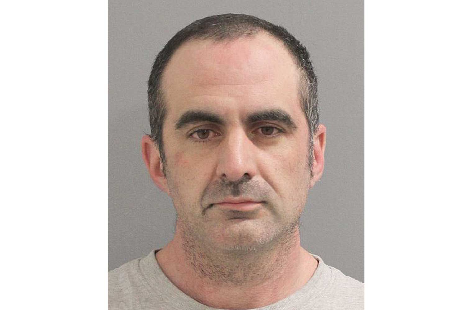 2 Dogs and a Cat Died in a Long Island House Fire — and Police Say the(00)