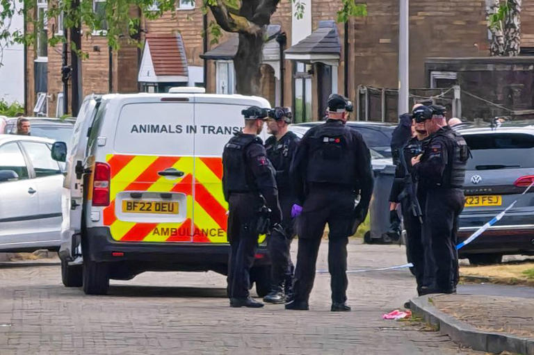 People 'covered in blood' after adults and baby mauled in horror dog attack