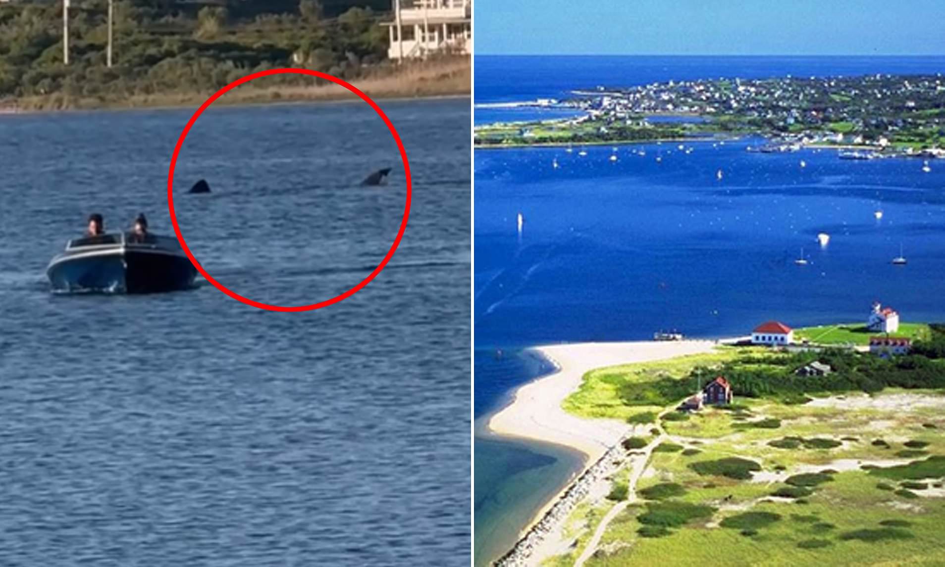 Terror in Rhode Island as enormous TWENTY FOOT shark is spotted(00)
