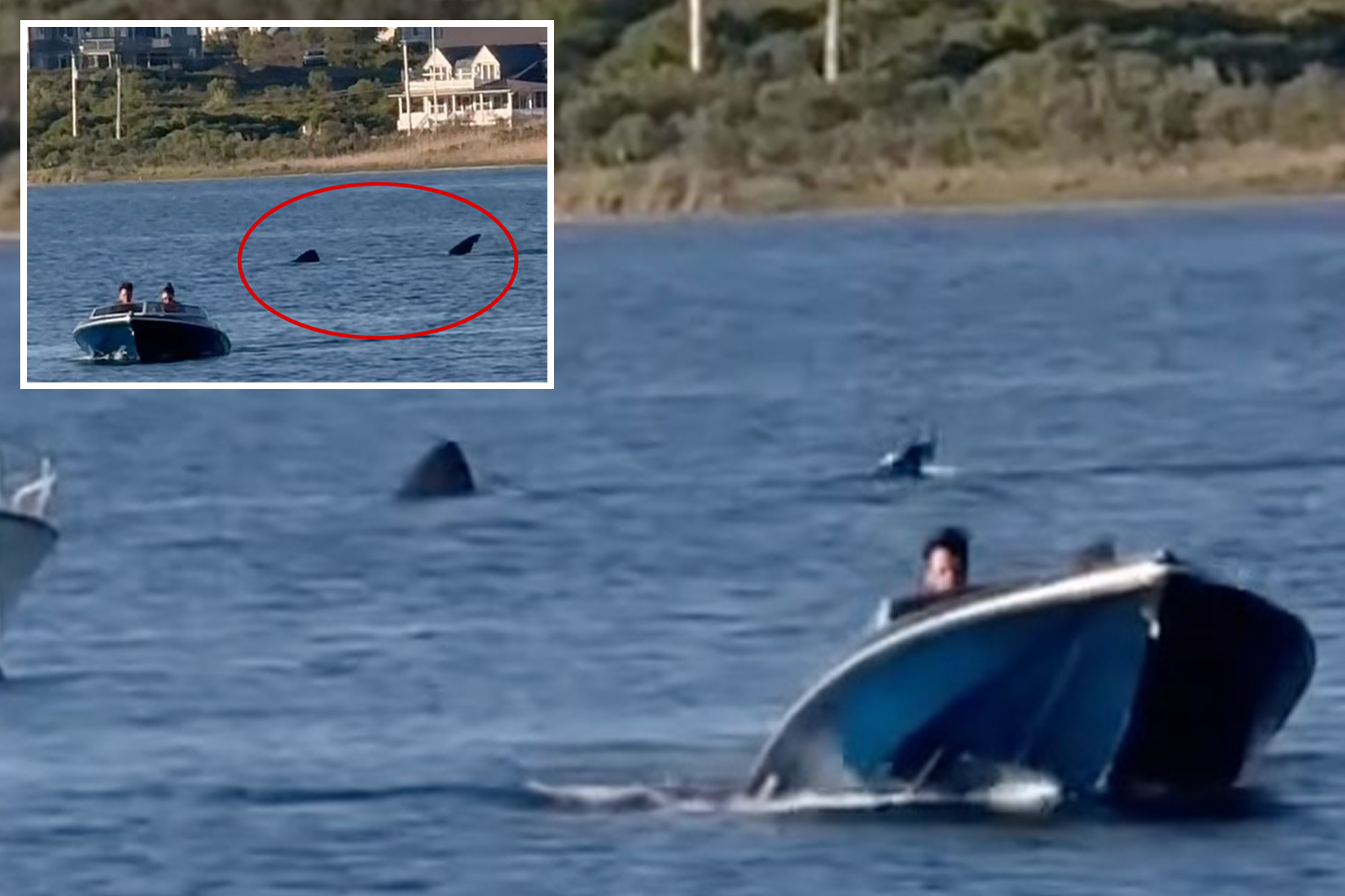 20-foot shark trails behind tiny boat on Block Island, sparking 'Jaws ...