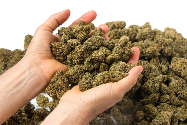 Florida recreational marijuana amendment falls short for 2026 ballot