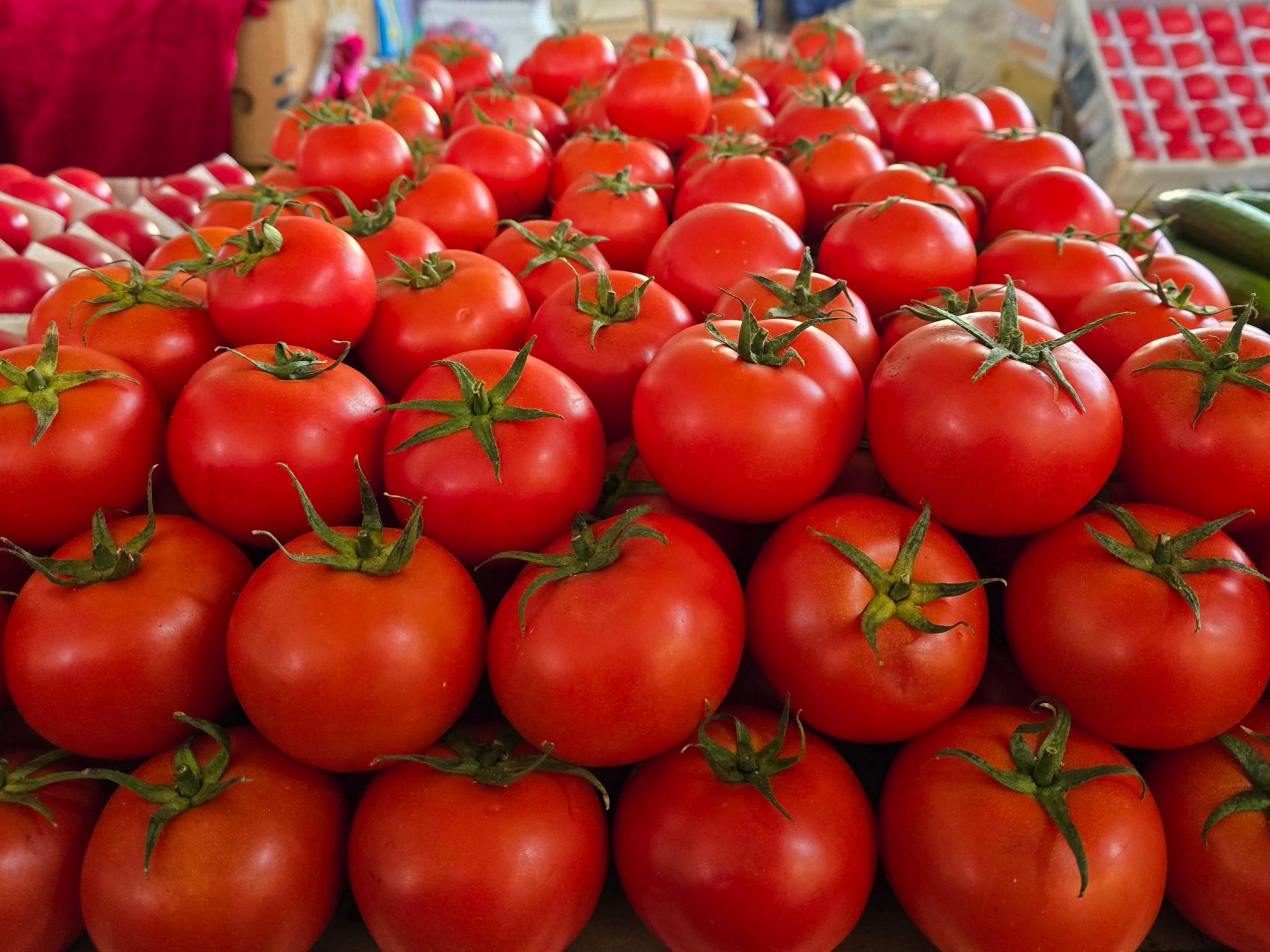 FDA tomato recall elevated to highest level due to salmonella risk