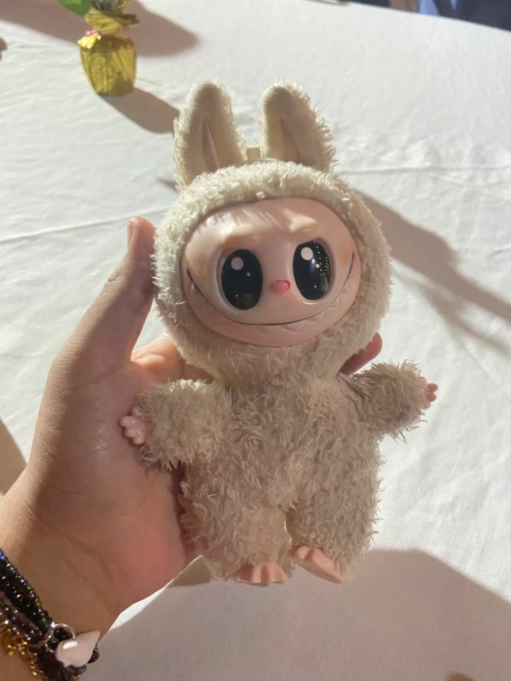 Why Is Everyone Hating Yet Buying The Viral Labubu Doll And Where Can