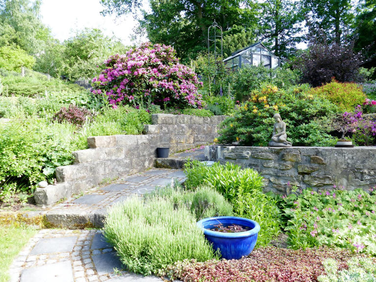 Tag der offenen Gartenpforte Dresden Programm 2025