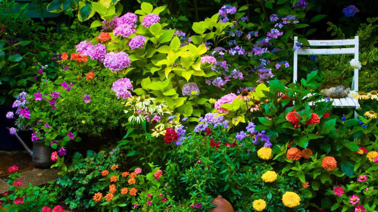 DüngerGeheimtipps von Oma Diese 5 Hausmittel retten deinen Garten