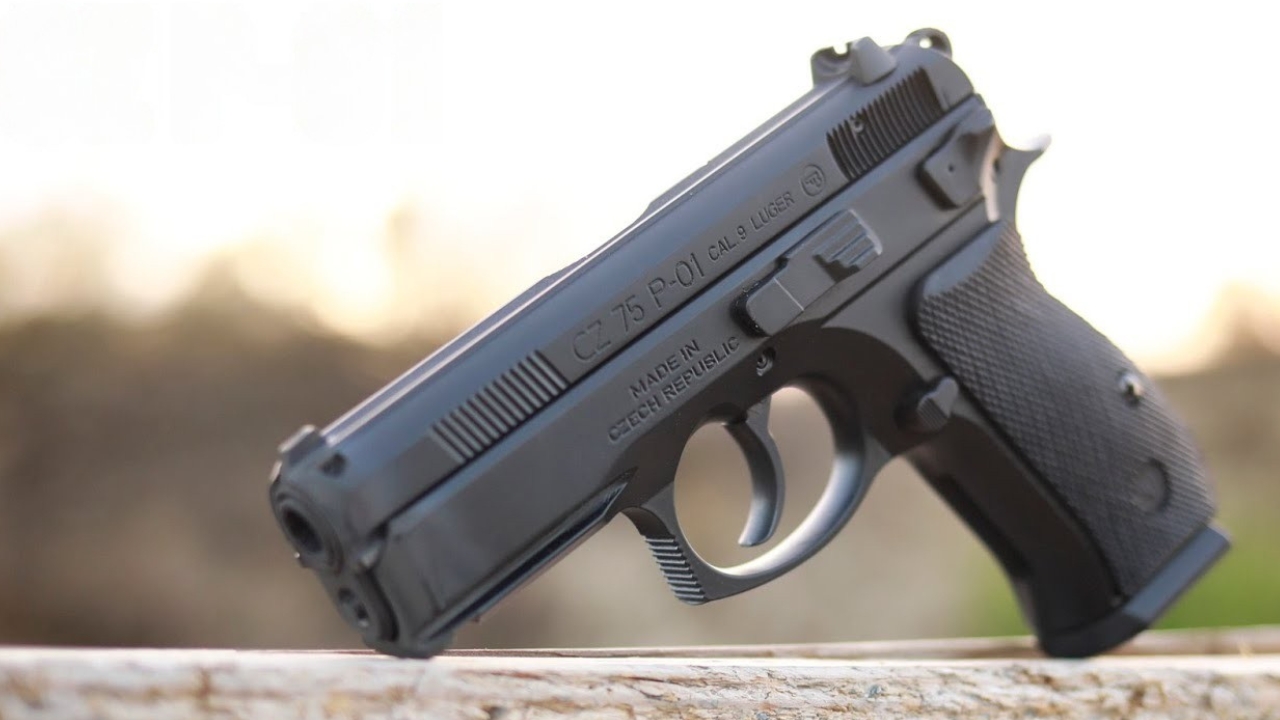 2 pistols net worth