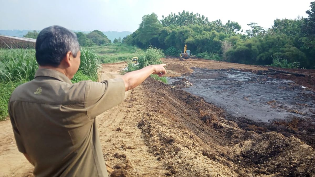 Ternak Jebol Penampungannya, Sawah Warga di Darangdan Purwakarta Hancur Akibat Limbah Kotoran