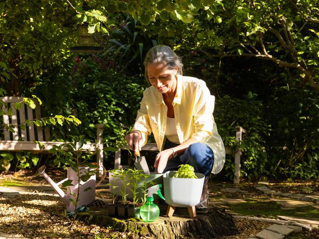 Kräutergarten im Juni Welche Sorten jetzt noch ins Beet dürfen