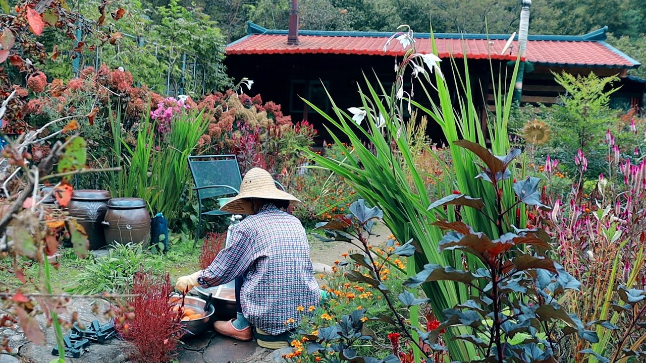 텃밭과 꽃밭이 있는 즐거운 시골집~!! | Watch