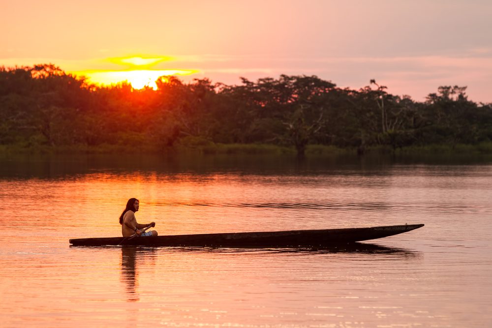 15-amazing-facts-about-the-amazon-rainforest
