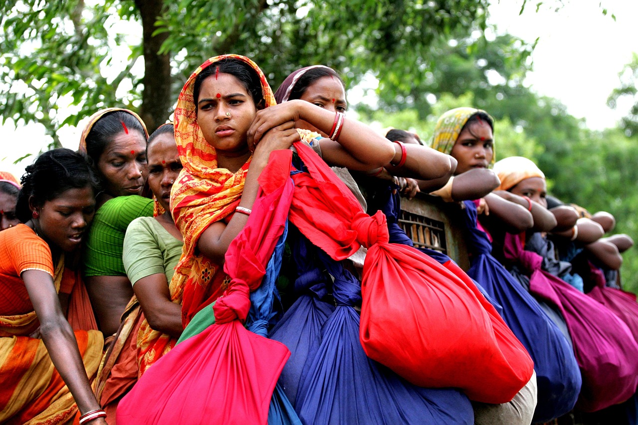 The Hidden Costs of Renewable Energy Activism