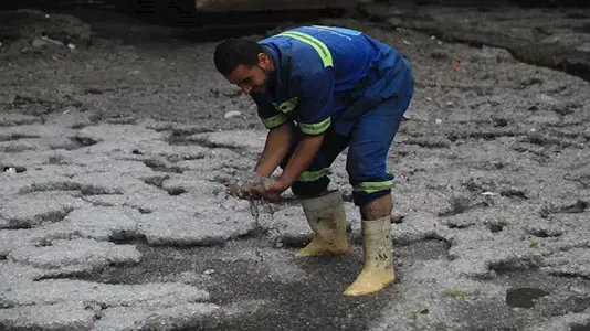 خسائر عاصفة الإسكندرية