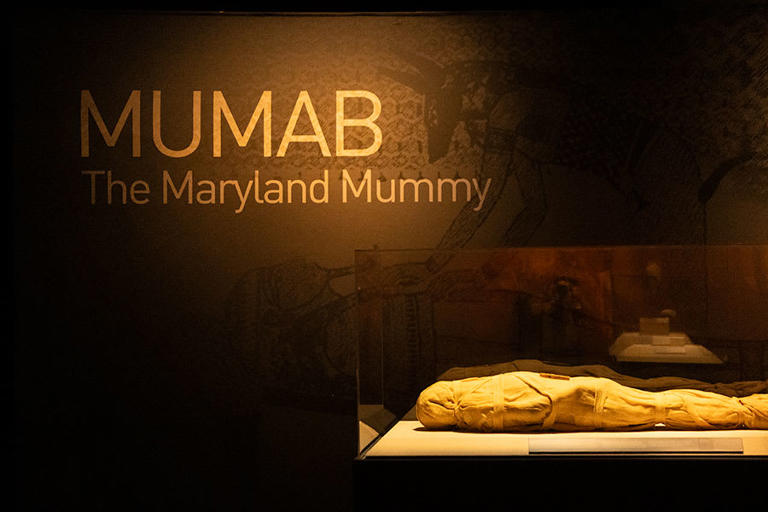 Museum of Idaho opens new exhibit featuring mummies from around the world