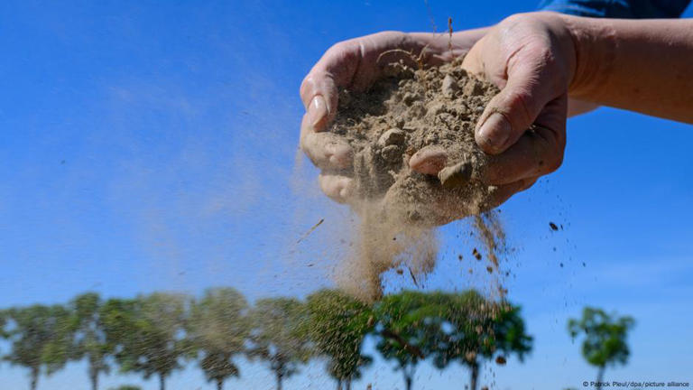 Порочный круг: чем меньше осадков, тем больше воды приходится использовать для полива сельскохозяйственных культур, что еще больше истощает грунтовые воды