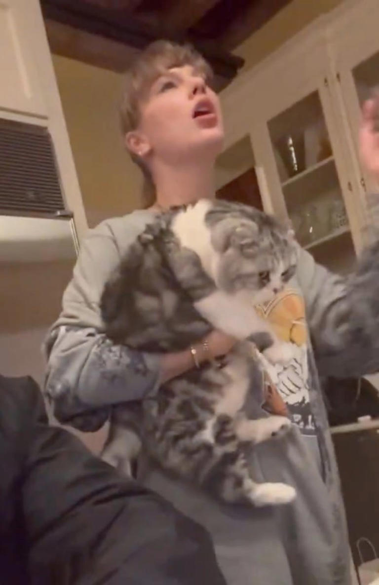 a person holding a cat while gesturing