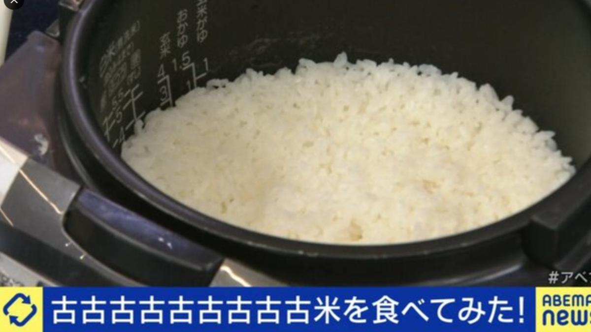 古米(白米)15㎏ 8年産米先行受付＞令和8年12月中旬発送 雪若丸【白米】15kg(5kg×3袋