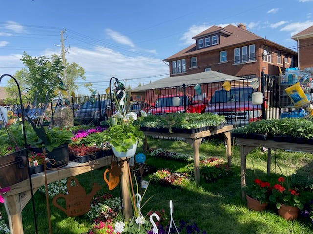 Tina Castleberry, owner of The Garden Bug, empowers Detroiters one yard ...