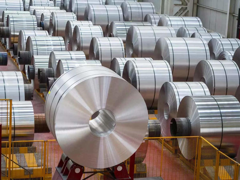 'India needs to be watchful of any trade diversion risk due to steel tariff challenges'