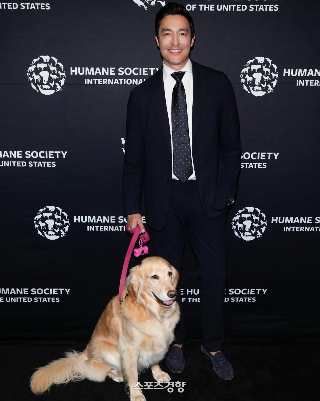 다니엘 헤니 반려견 로드트립