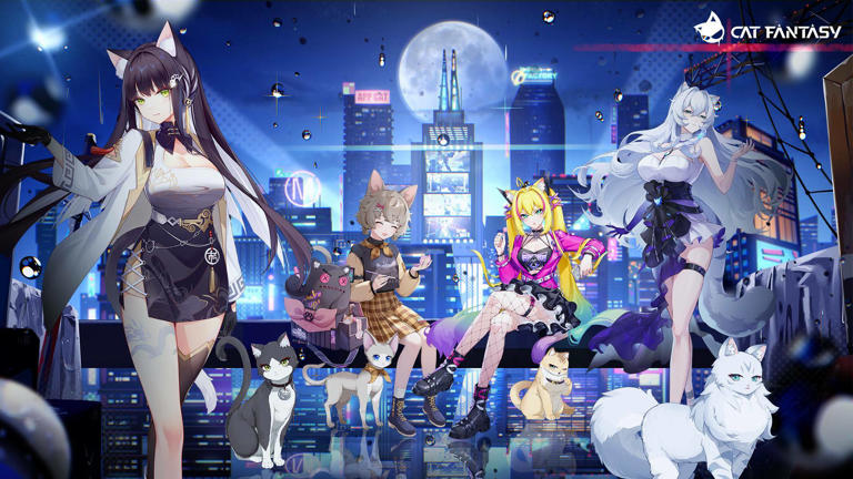 Cat fantasy codes