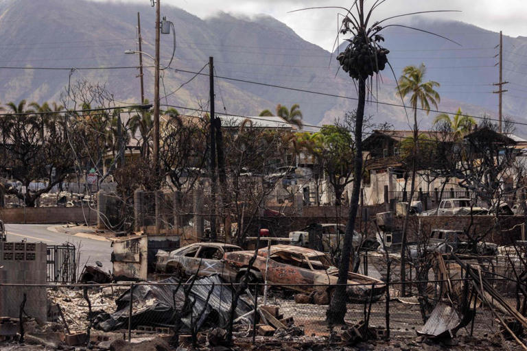 Demand for housing after the Maui wildfires prompted Hawaii to become more open to companies that offer alternative-construction methods.