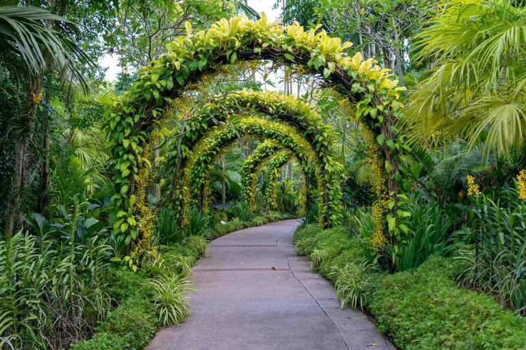 Best Botanical Gardens in India: A Nature Lover's Paradise