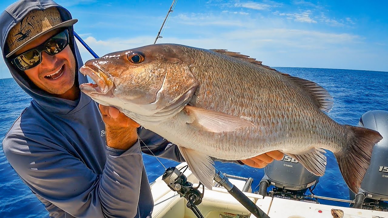 Massive Snapper Caught Right at the Surface