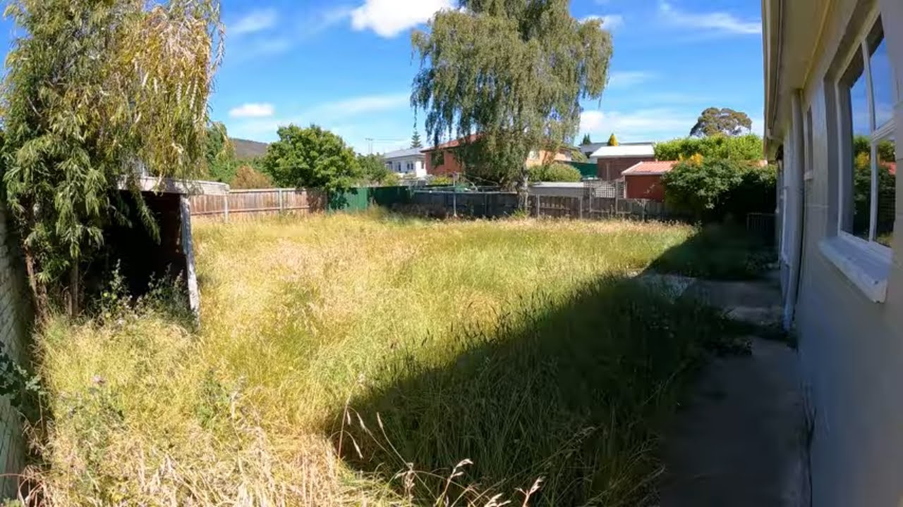 I transformed a jungle into a lawn paradise 🌿