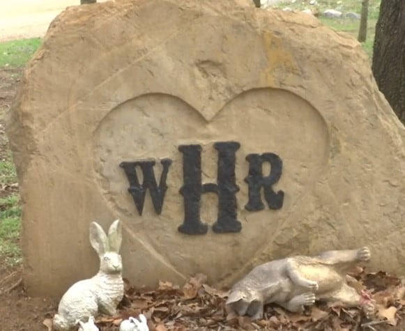 Wild Heart Ranch reports 3 positive bird flu cases, asks for donations ...