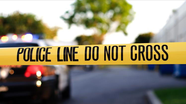 Brunswick man charged with murder after body found in home