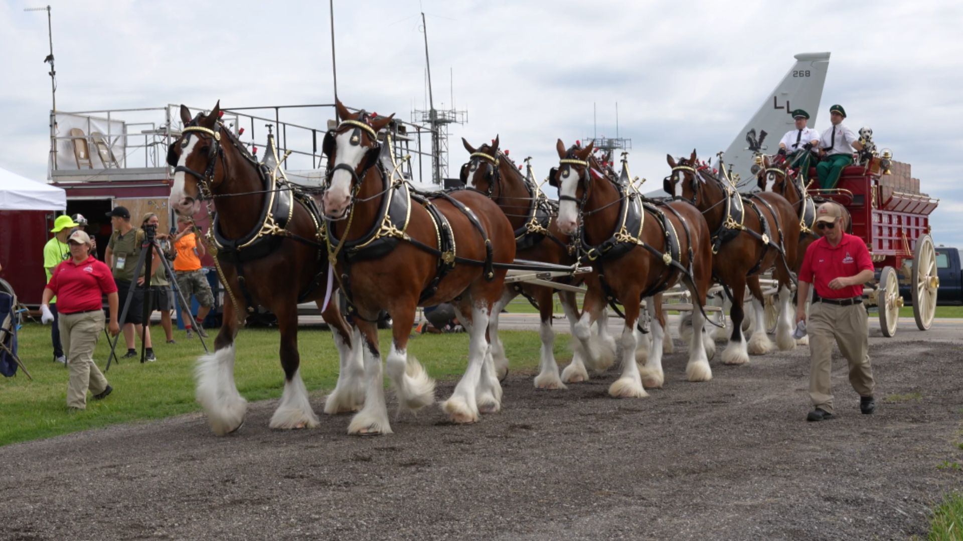 Budweiser Super Bowl commercial teams Clydesdale with American bald eagle, 'Free Bird'