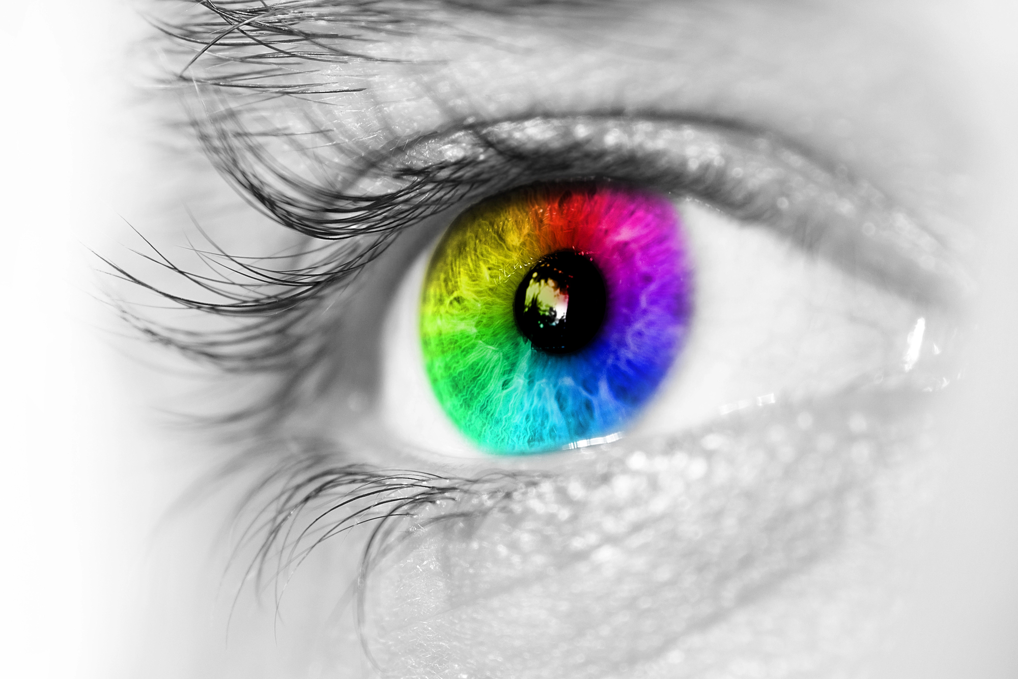 16 Color Combinations That Trick Your Brain Daily