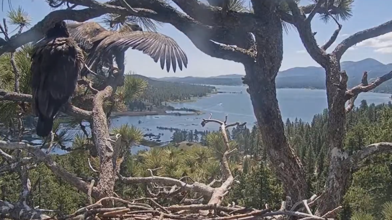 Hurricane Sandy visual data 6