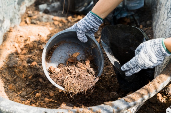 Cara Mudah Buat Kompos dari Sampah Dapur di Rumah Anda