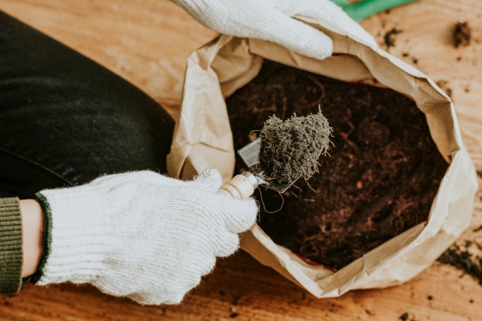 Cara Mudah Buat Kompos dari Sampah Dapur di Rumah Anda