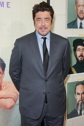 Benicio del Toro's family was still nervous about his career choice